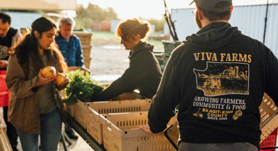 A man in a Viva Farms hoodie at a produce stand