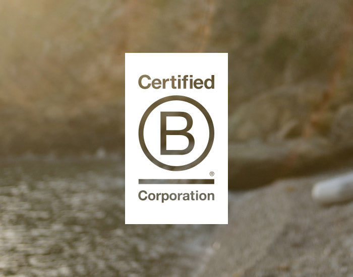 Office Yoga  B Corp Certified Corporate Yoga Company
